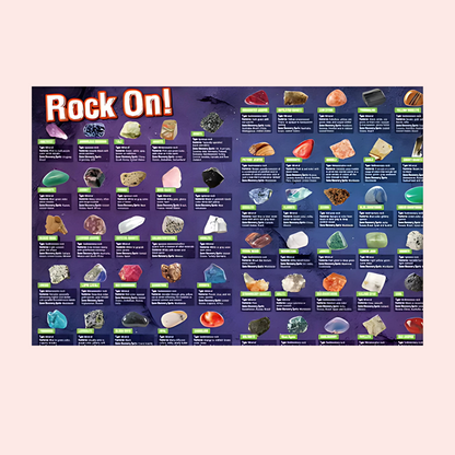 Rock Collection Kit